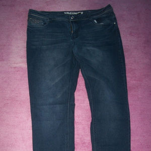 WOMENS PLUS SZ 2X JEANS FROM E.LINE  SKINNY EUC